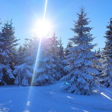 Domek Gloria Nad Jeziorem Zywieckim Buitenkant foto