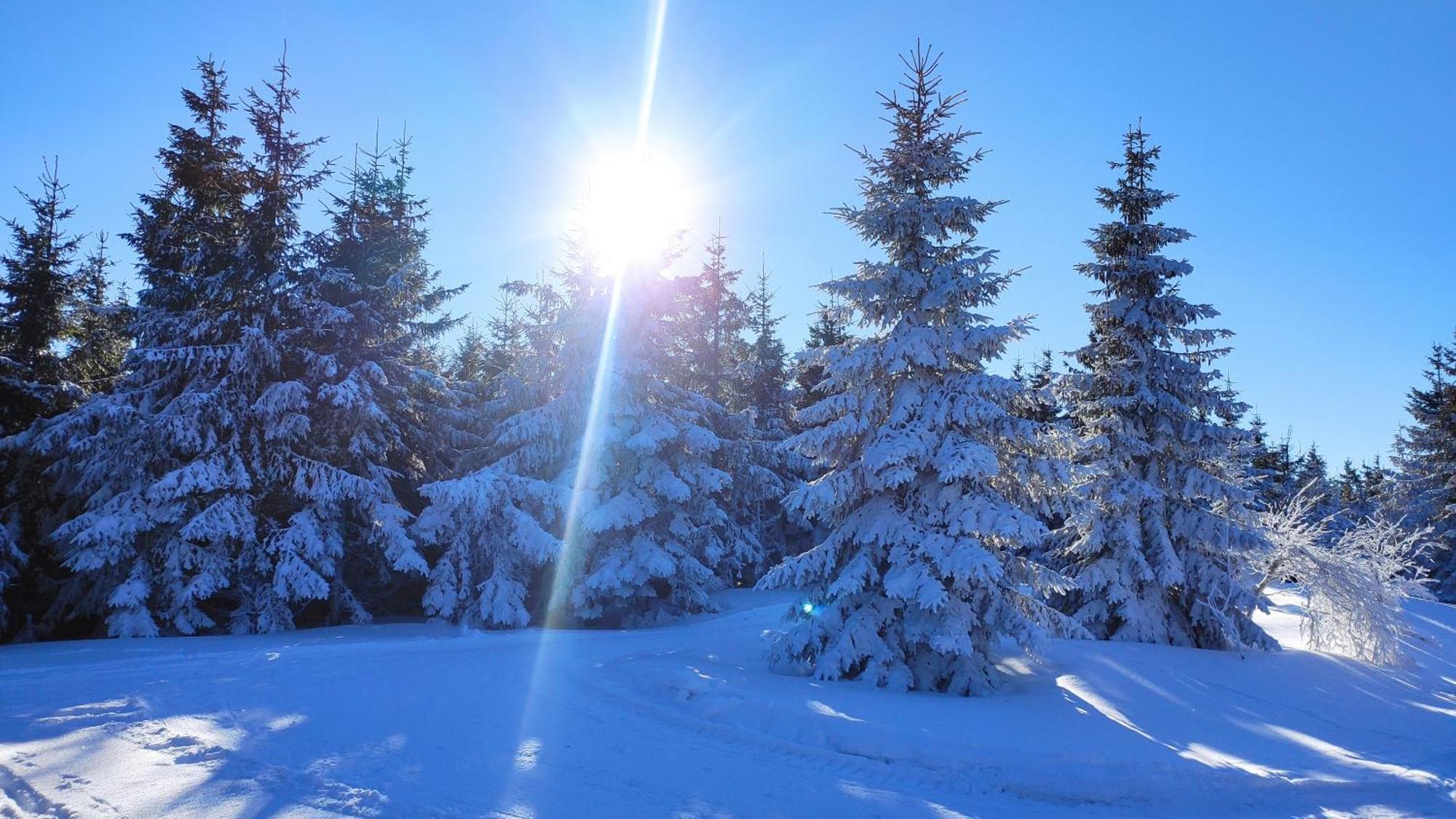 Domek Gloria Nad Jeziorem Zywieckim Buitenkant foto