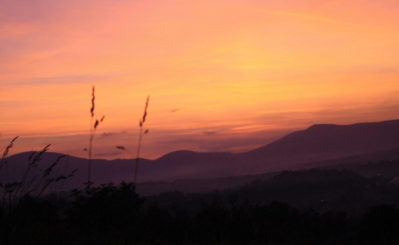 Domek Gloria Nad Jeziorem Zywieckim Buitenkant foto